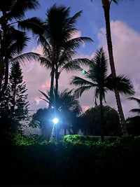 Solar Commercial Widespotlight