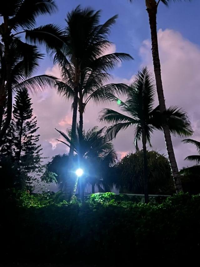 Solar Commercial Widespotlight