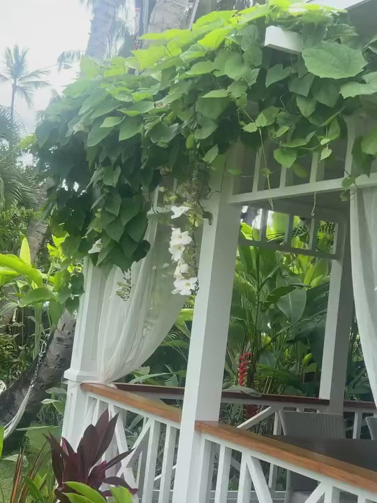 Solar Commercial Widespotlight