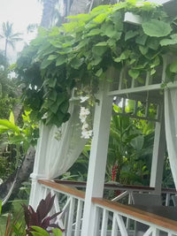 Solar Commercial Widespotlight