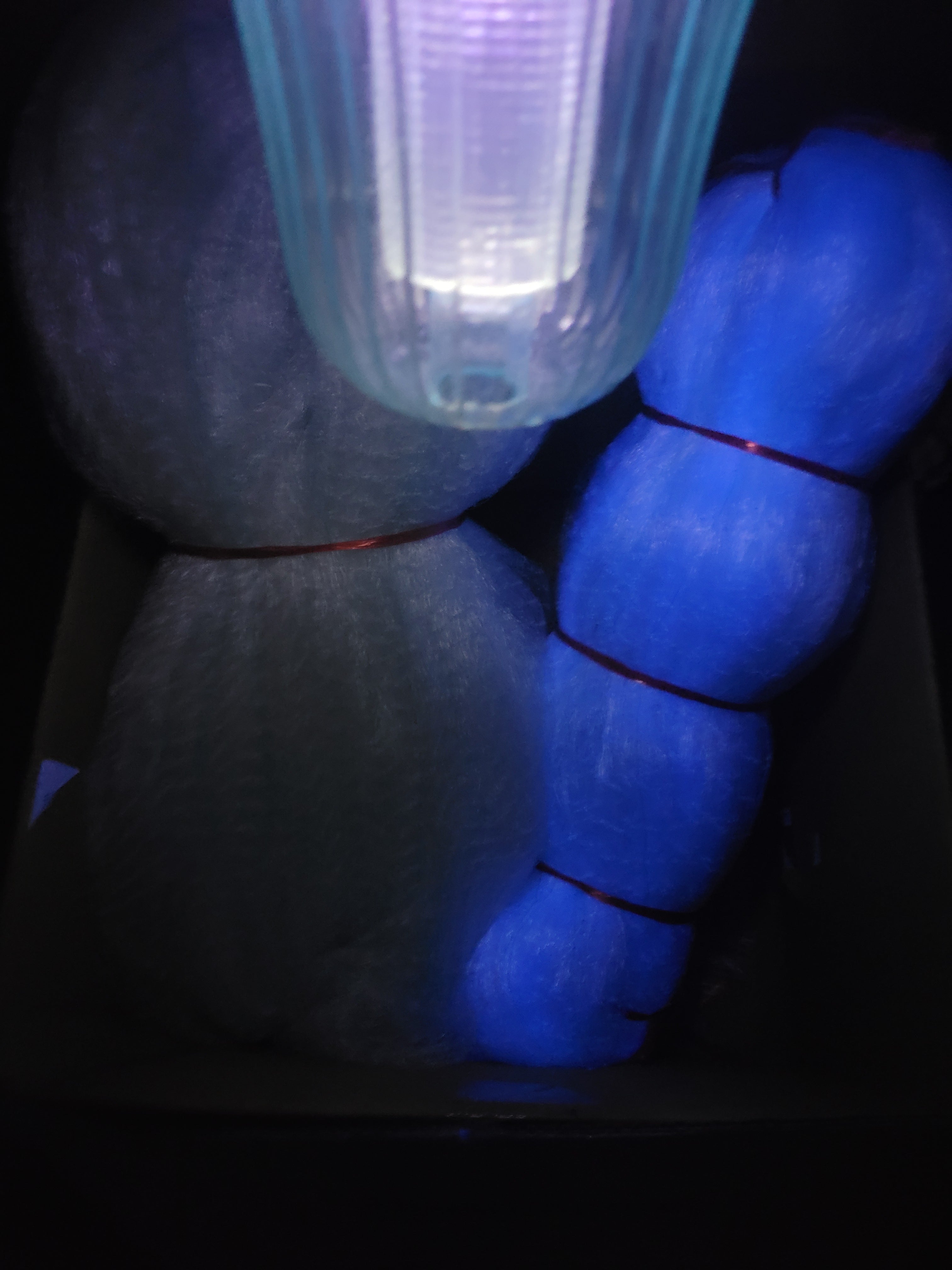 Solar UV light CRB attractant